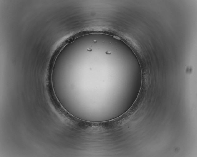 X0000090910536200708201744