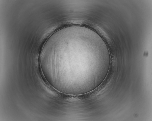 X0000090910537200708201744