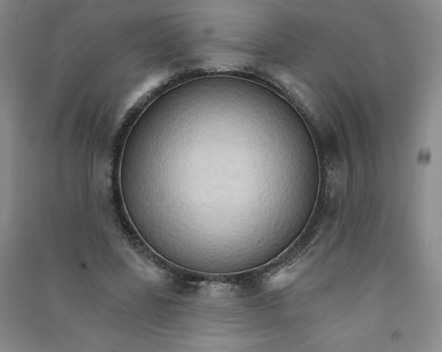 X0000090910539200708201744