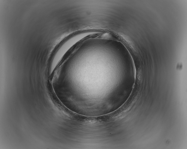 X0000090910540200708201744