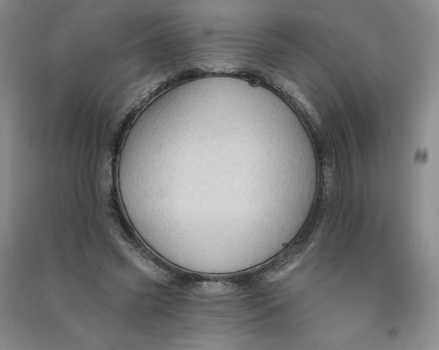 X0000090910541200708201744