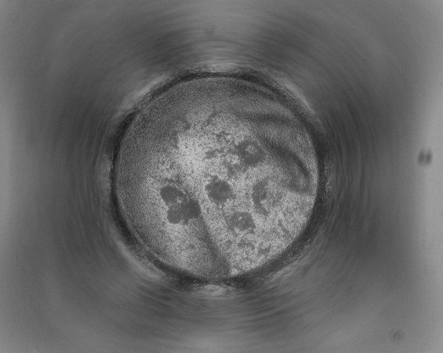 X0000090910542200708201744