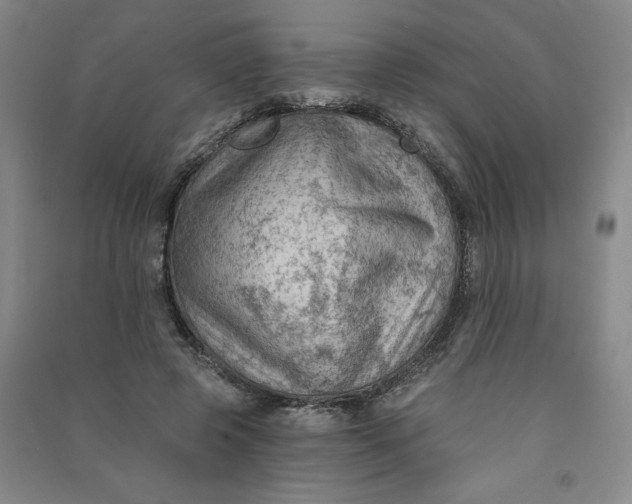 X0000090910545200708201744