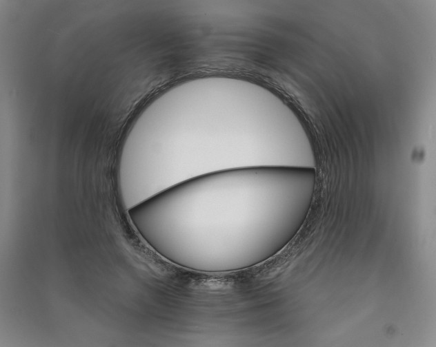 X0000090910546200708201744