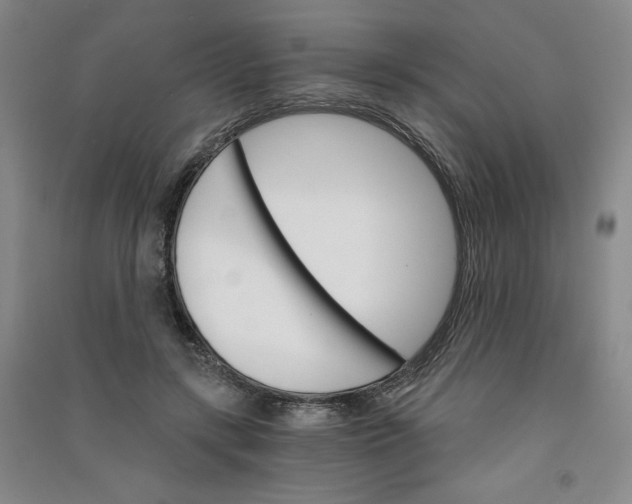 X0000090910547200708201744