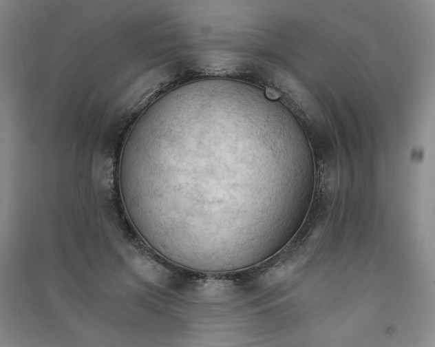 X0000090910549200708201744