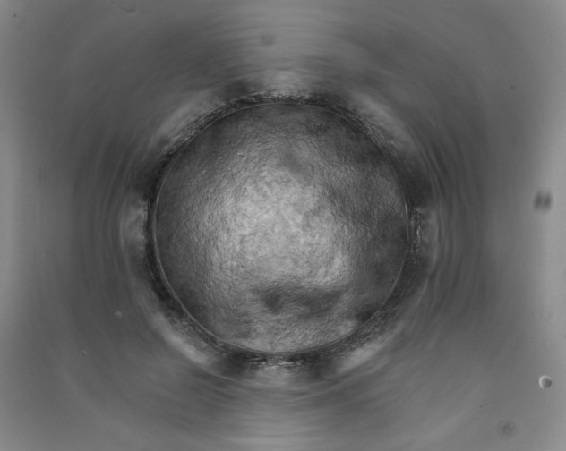 X0000090910550200708201744