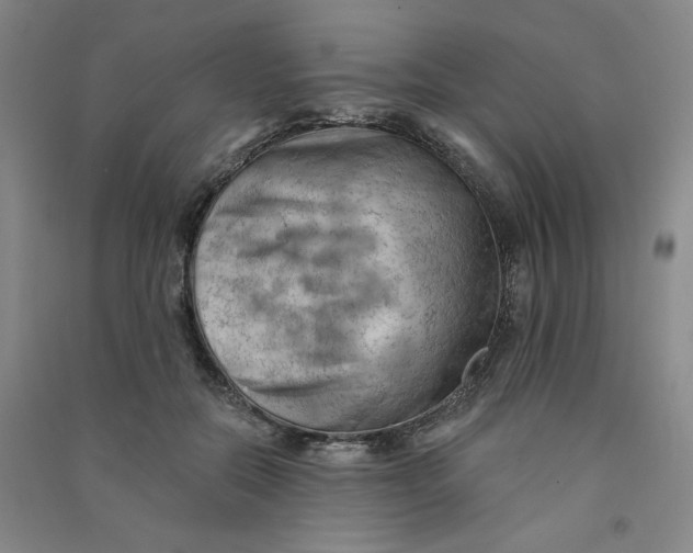 X0000090910554200708201744