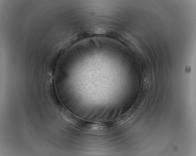 X0000090910555200708201744