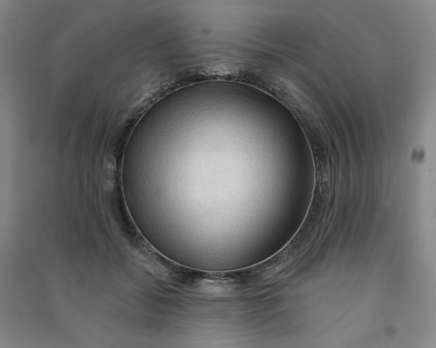 X0000090910556200708201744