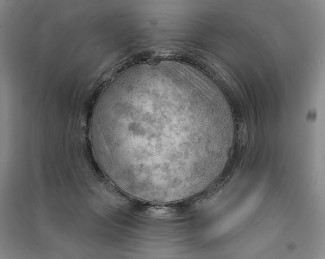 X0000090910557200708201744