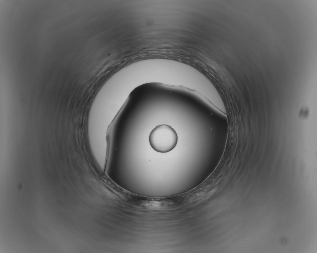 X0000090910558200708201744