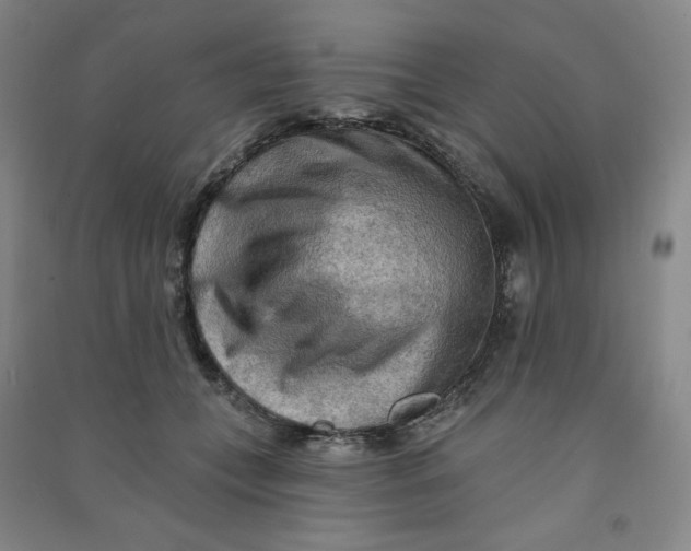 X0000090910559200708201744