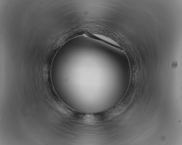 X0000090910562200708201744