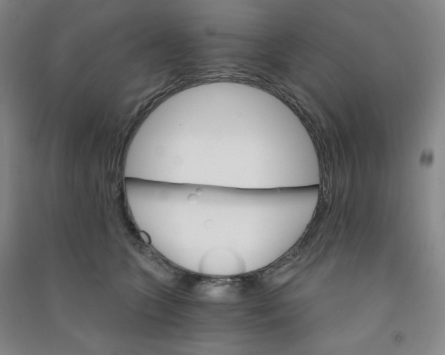 X0000090910563200708201744