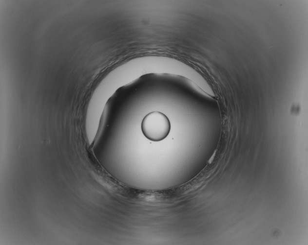 X0000090910564200708201744