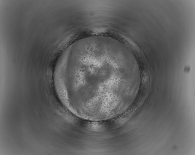 X0000090910565200708201744