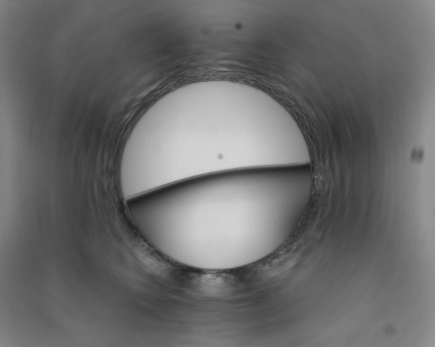 X0000090910566200708201744