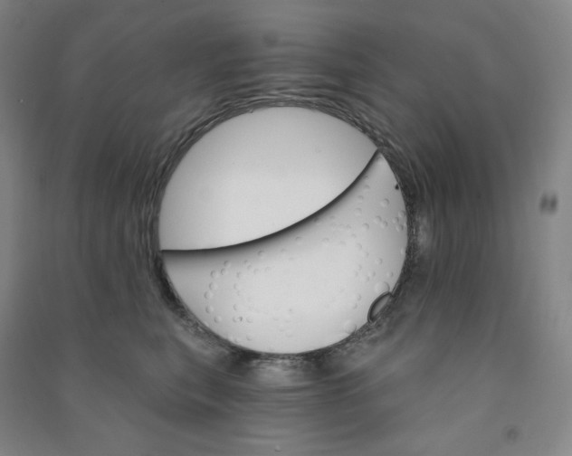 X0000090910567200708201744