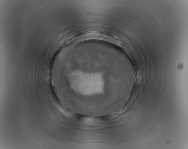 X0000090910568200708201744