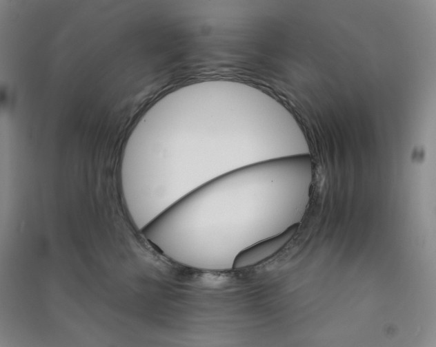 X0000090910570200708201744