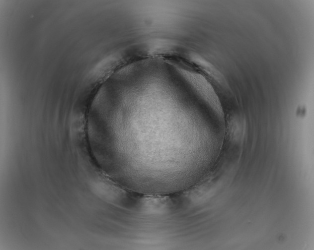 X0000090910571200708201744