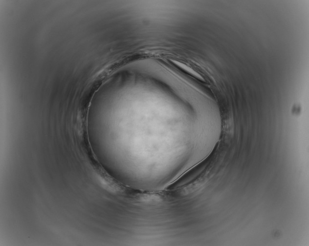 X0000090910572200708201744