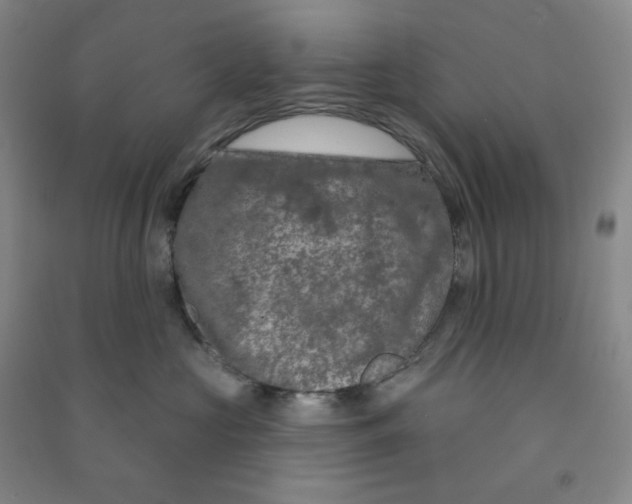 X0000090910573200708201744