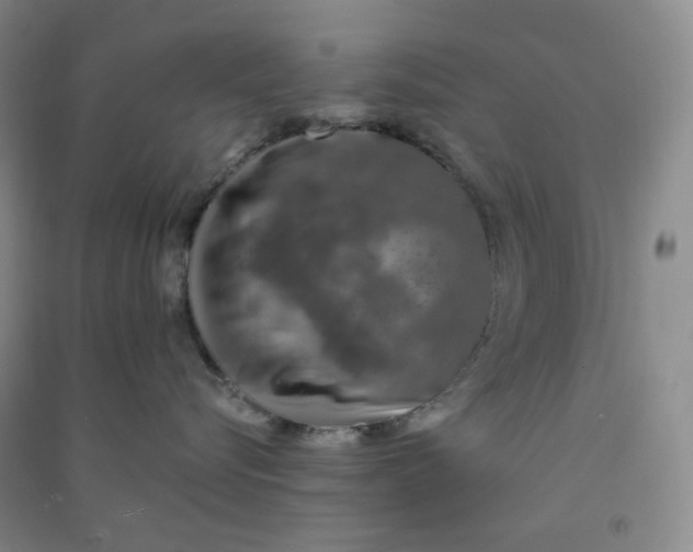 X0000090910576200708201744