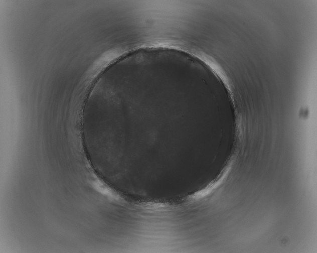 X0000090910577200708201744