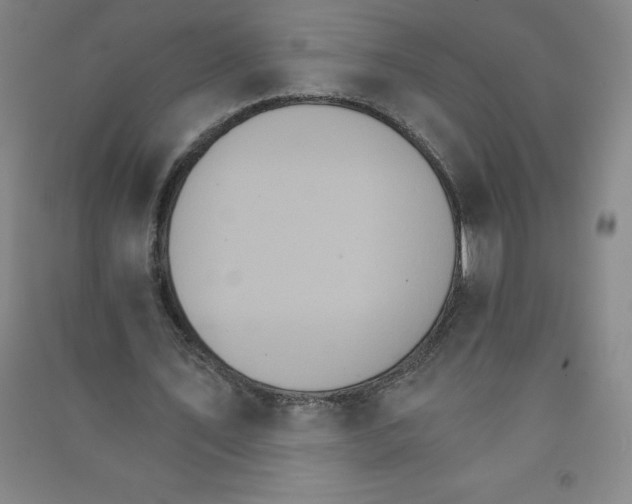 X0000090910579200708201744