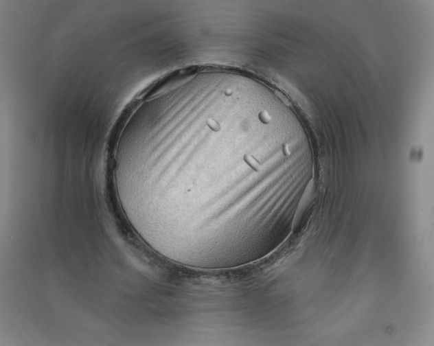 X0000090910580200708201744