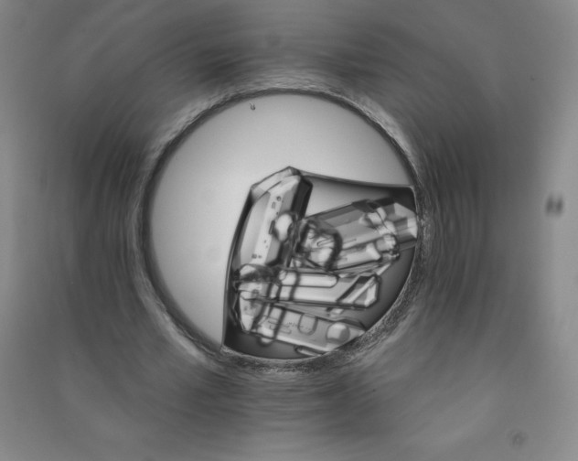 X0000090910581200708201744