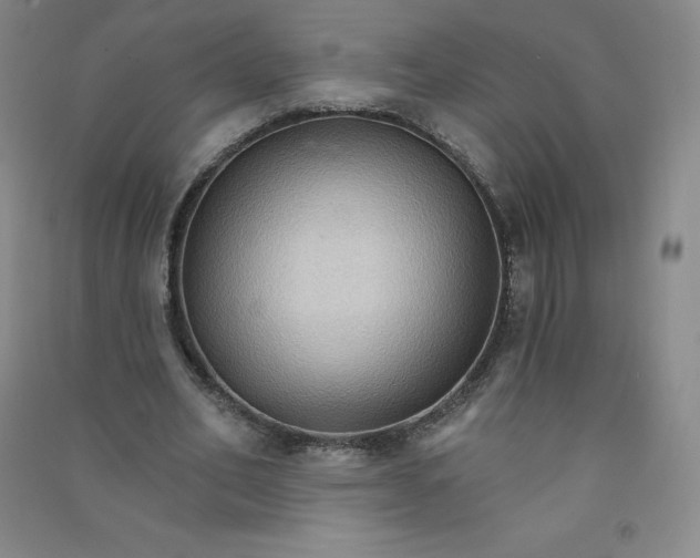 X0000090910582200708201744