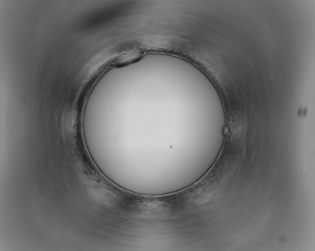 X0000090910583200708201744