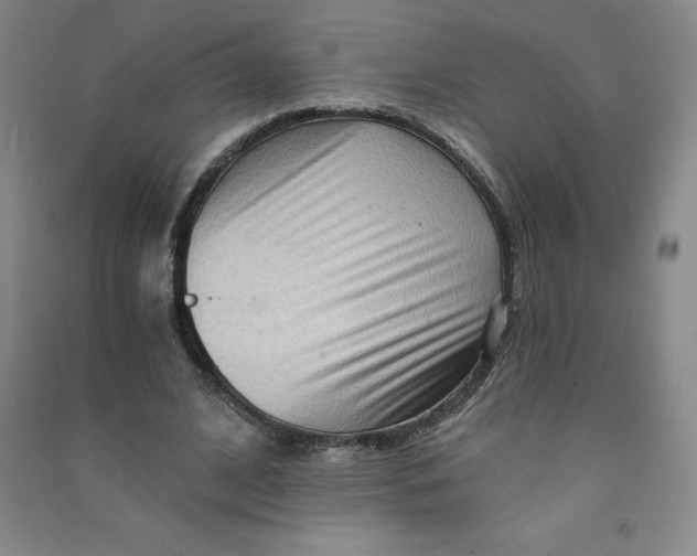 X0000090910584200708201744