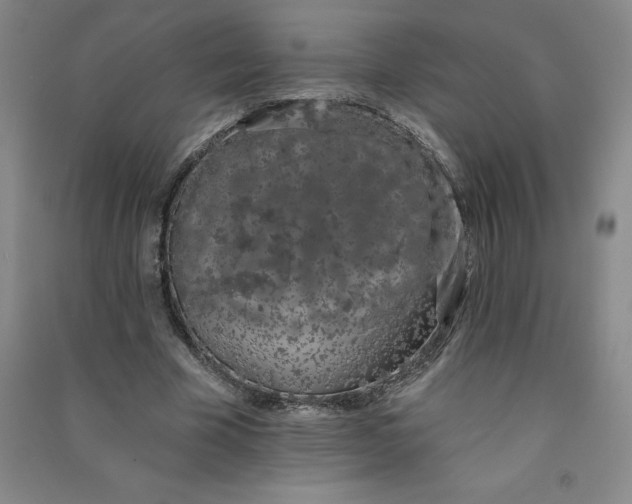 X0000090910585200708201744