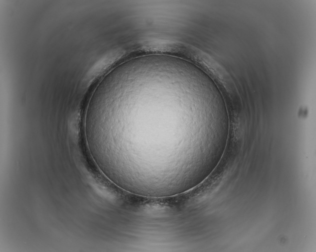 X0000090910586200708201744