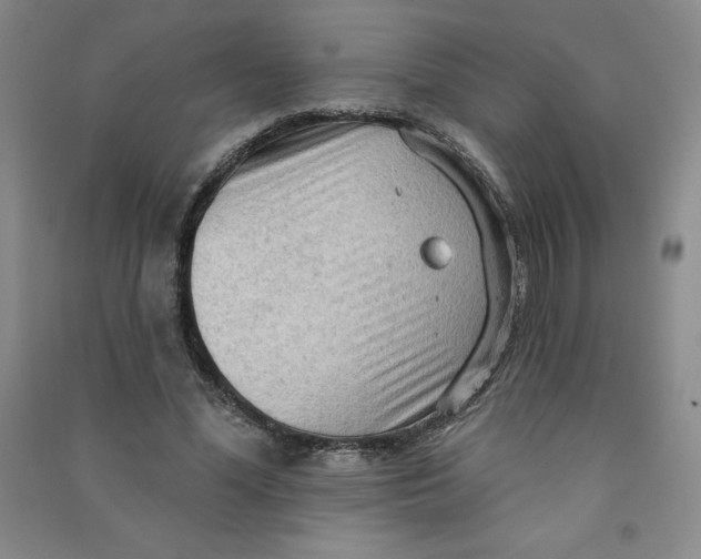 X0000090910588200708201744