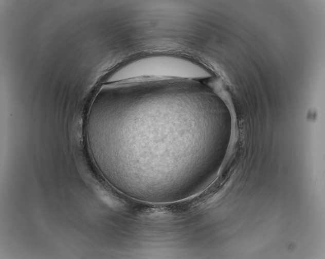 X0000090910589200708201744