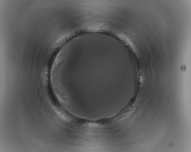 X0000090910590200708201744