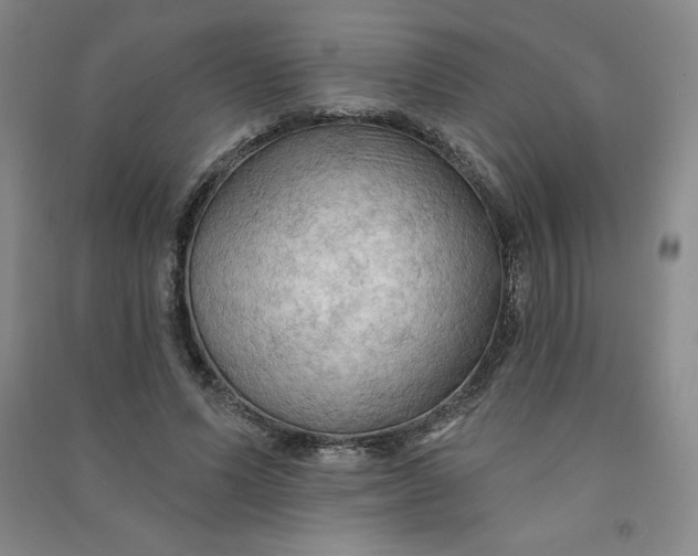 X0000090910591200708201744