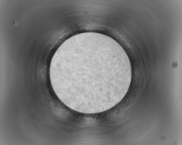 X0000090910592200708201744