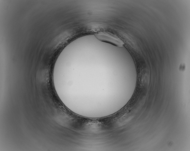 X0000090910595200708201744