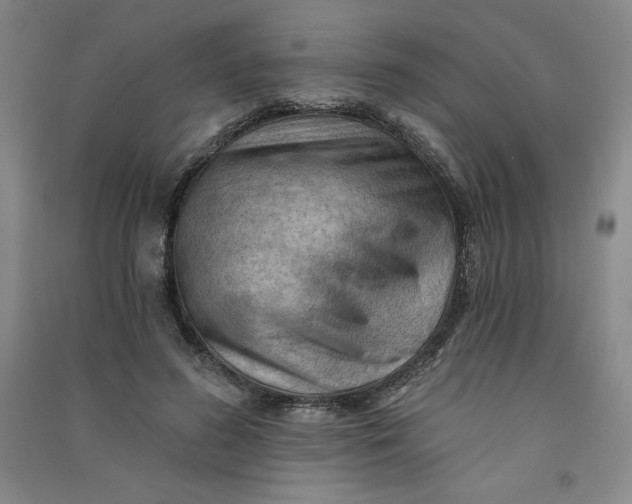 X0000090910596200708201744