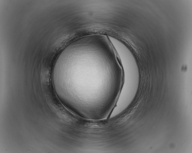 X0000090910597200708201744