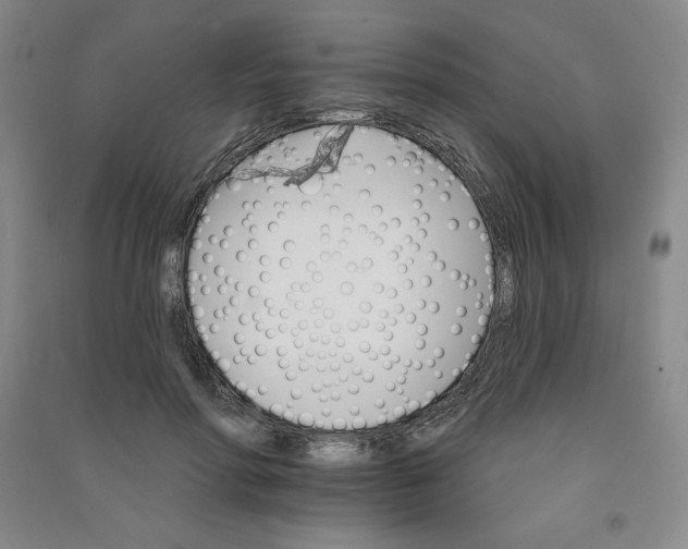 X0000090910598200708201744