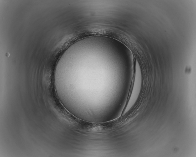 X0000090910600200708201744