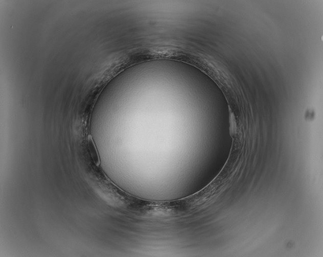 X0000090910601200708201743