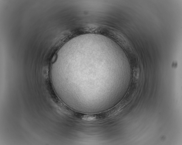 X0000090910602200708201743